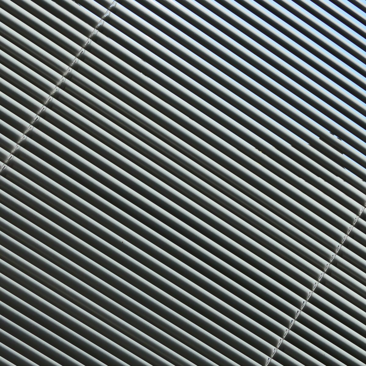 P1011564b