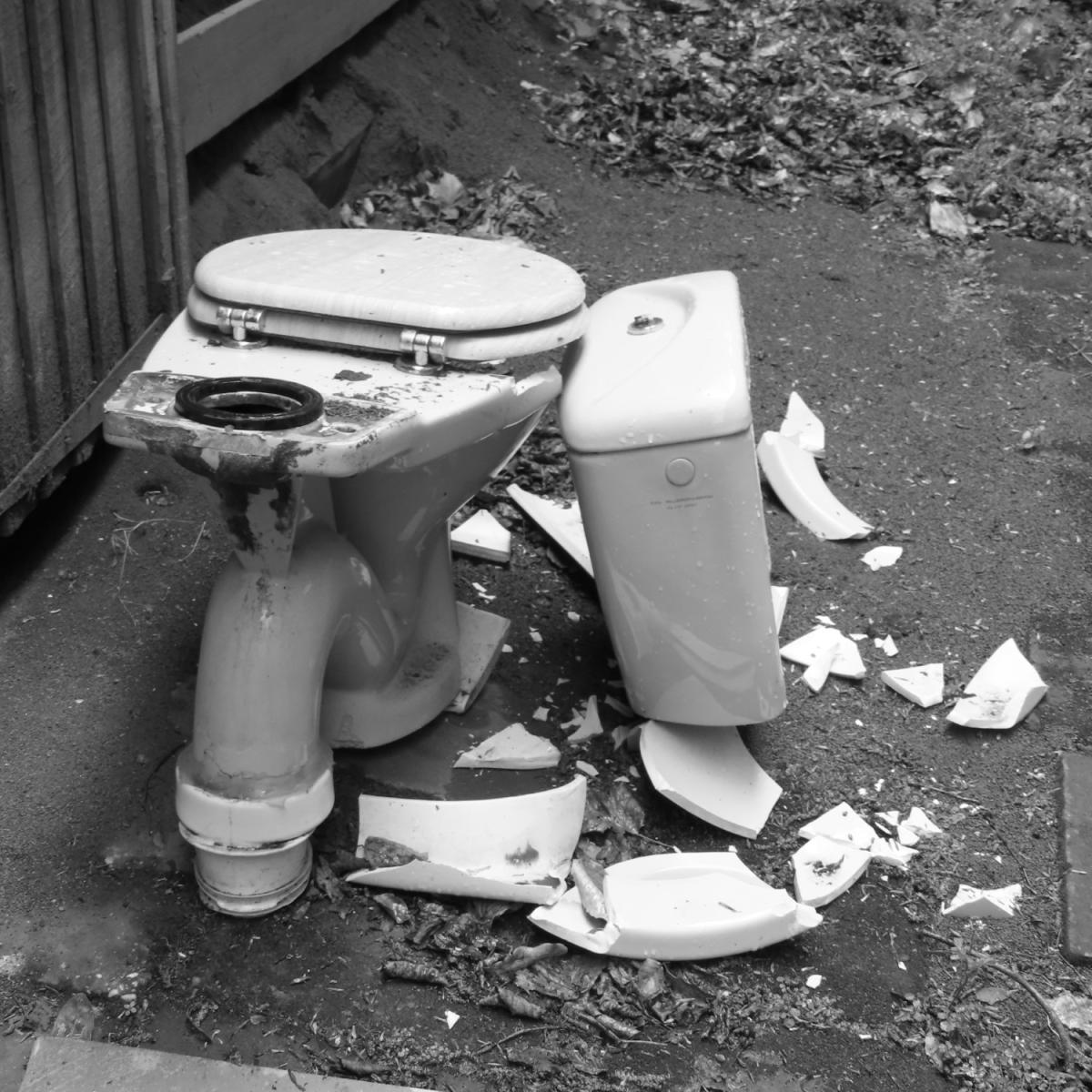 toiletpot (Aangepast)