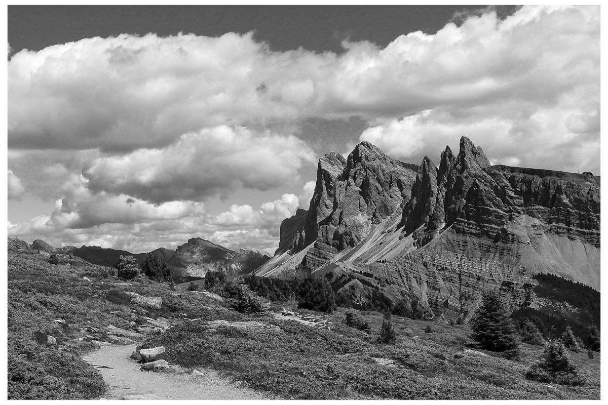 Tonny - foto nav fotograaf Ansel Adams